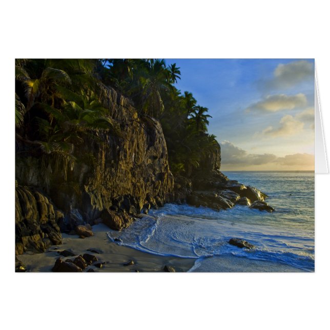 Ansiビクトリンビーチ2 (正面横)