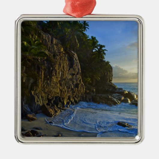 Ansiビクトリンビーチ2 メタルオーナメント (正面)