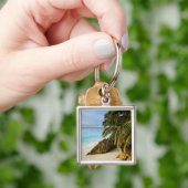 Ansiビクトリンビーチ キーホルダー (手)