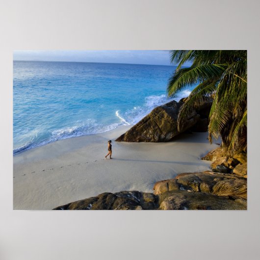 Ansiビクトリンビーチ、フレゲイト島 ポスター (正面)