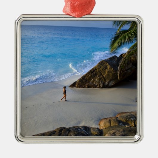 Ansiビクトリンビーチ、フレゲート島 メタルオーナメント (正面)