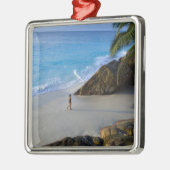 Ansiビクトリンビーチ、フレゲート島 メタルオーナメント (左)