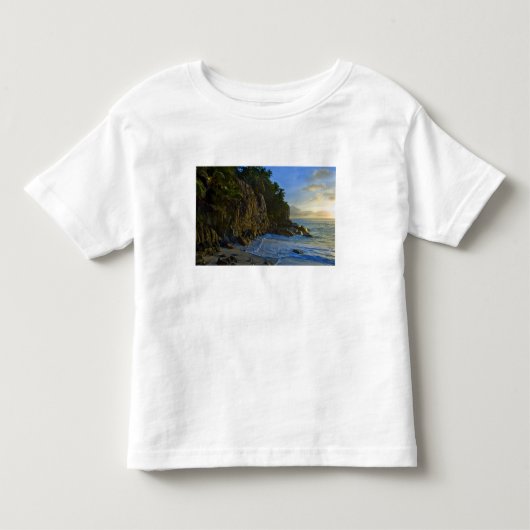 Ansi Victorin Beach 2 トドラーTシャツ (正面)