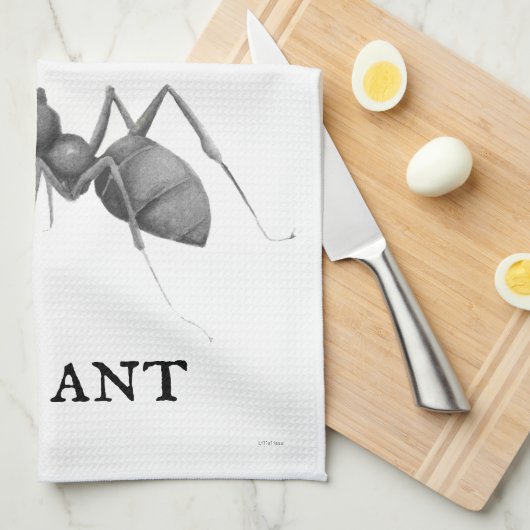 Antの「A」 キッチンタオル (四つ折り)