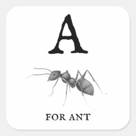Antの「A」 スクエアシール