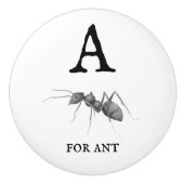 Antの「A」 セラミックノブ (正面)