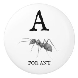 Antの「A」 セラミックノブ