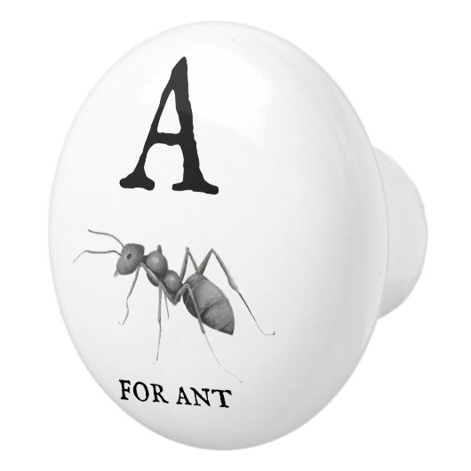 Antの「A」 セラミックノブ (右)