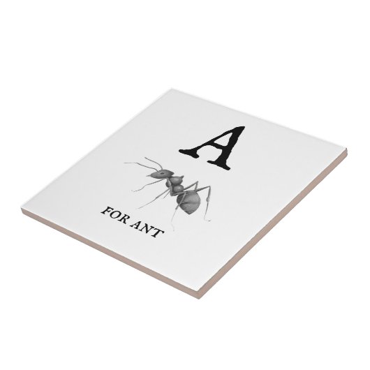 Antの「A」 タイル (側面)