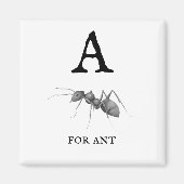 Antの「A」 マグネット (正面)