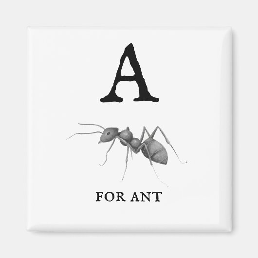 Antの「A」 マグネット (正面)
