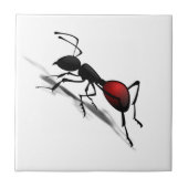 Antセラミックタイルギフト タイル (正面)