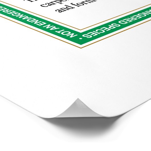 Antポスター ポスター (角)