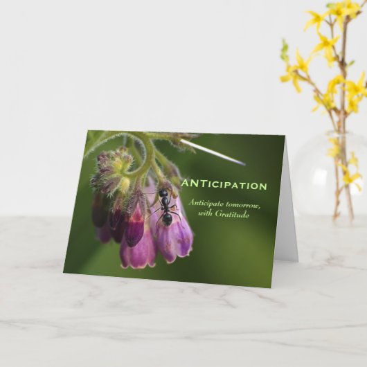 Ant & Flowerグリーティやる気を起こさせるングカード カード (黄色い花)