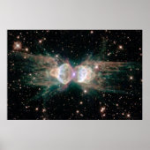 Ant Nebula 30x20 (27x18) ポスター (正面)