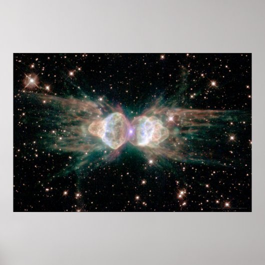 Ant Nebula 30x20 (27x18) ポスター (正面)
