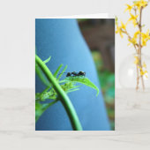 Ant on a Leaf Greeting Cards カード (黄色い花)