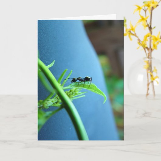 Ant on a Leaf Greeting Cards カード (黄色い花)