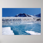 Antarctica ポスター (正面)