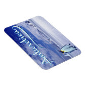 Antarctica マグネット (右側)