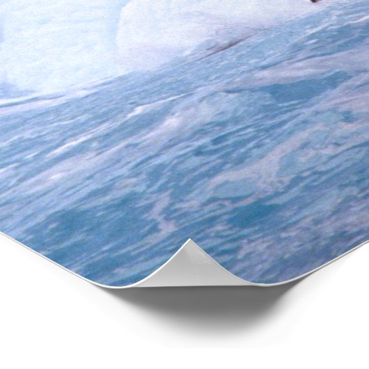 Antarctica, Antarctic Peninsula. Chinstrap ポスター (角)