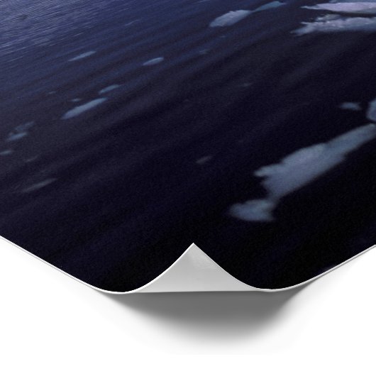 Antarctica. Expedition through icescapes ポスター (角)