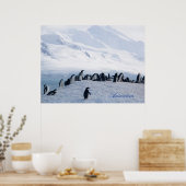 Antarctica Poster ポスター (キッチン)