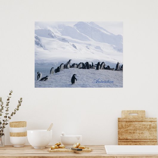 Antarctica Poster ポスター (キッチン)