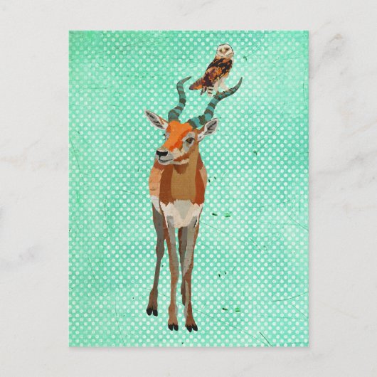 ANTELOPE & OWLポストカード ポストカード (正面)