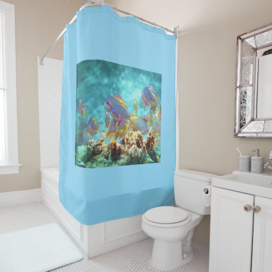 Anthias -カラフルサンゴ礁の魚の学校 | シャワーカーテン (インサイチュ)