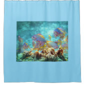 Anthias -カラフルサンゴ礁の魚の学校 | シャワーカーテン (正面)