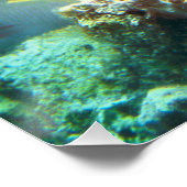 Anthias -カラフルサンゴ礁の魚の学校 | ポスター (コーナー)