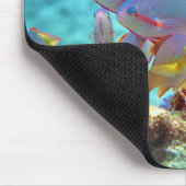 Anthias -カラフルサンゴ礁の魚の学校 | マウスパッド (コーナー)