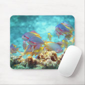 Anthias -カラフルサンゴ礁の魚の学校 | マウスパッド (マウス)