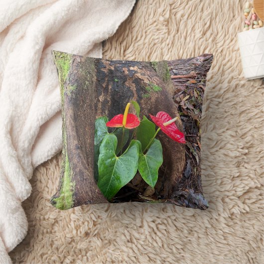 Anthurium クッション (ブランケット)