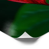 anthurium flower wall art ポスター (コーナー)