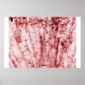 Anti Matter ポスター (正面)