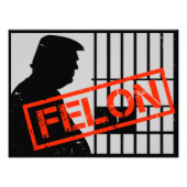 Anti Trump Felon Convicted 20-24 Years for Prison フォトプリント (正面)