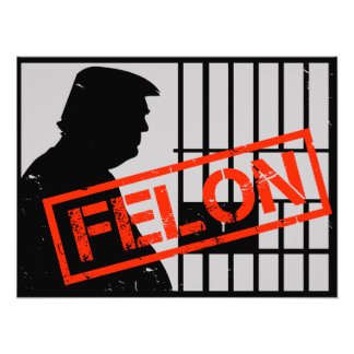 Anti Trump Felon Convicted 20-24 Years for Prison フォトプリント