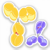 Antibody drug conjugate DAR2 at glycan シール (正面)