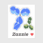 Antibody IgG 1 or 4, blue and green シール (シート)