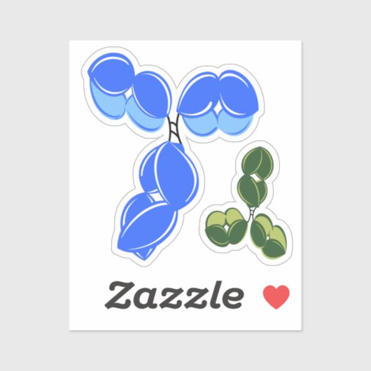 Antibody IgG 1 or 4, blue and green シール (シート)