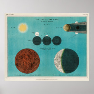Antique astronomy illustration vintage art ポスター