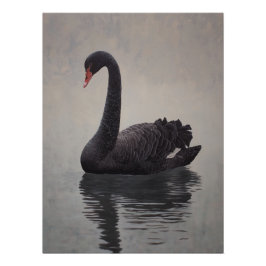 Antique Black Swan Art Print ポスター