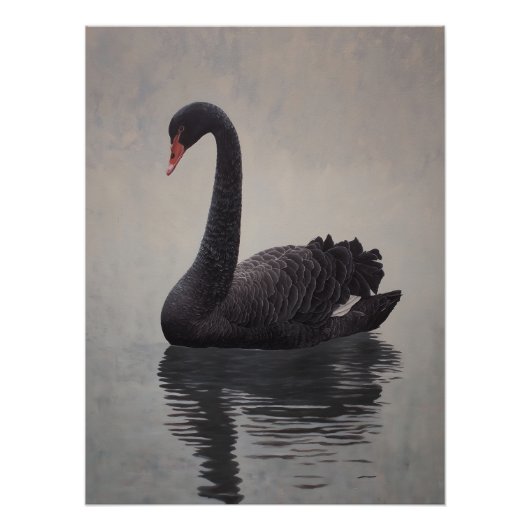 Antique Black Swan Art Print ポスター (正面)