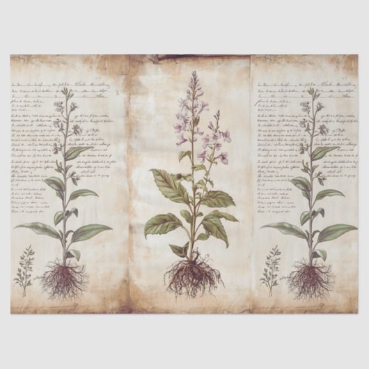 Antique Botanical Herbs Decoupage 薄葉紙 (正面)