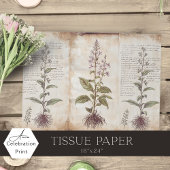 Antique Botanical Herbs Decoupage 薄葉紙