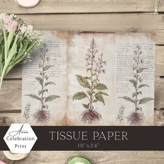 Antique Botanical Herbs Decoupage 薄葉紙