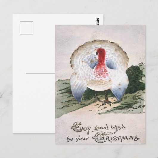 Antique Christmas Turkey ポストカード (正面/裏面)
