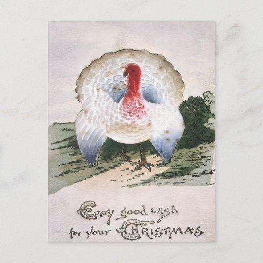 Antique Christmas Turkey ポストカード (正面)